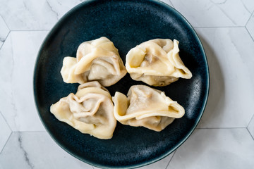 Homemade Steamed Asian Dumplings with Garlic Sauce.