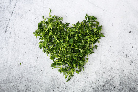 Micro Greens In The Shape Of A Heart.