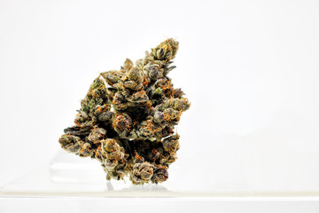 Cannabis Product Shots