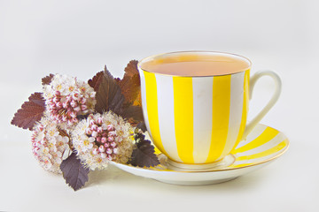 green tea in beautiful cup