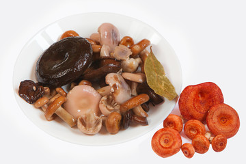 beautiful cap boletus growing in  isolated on white