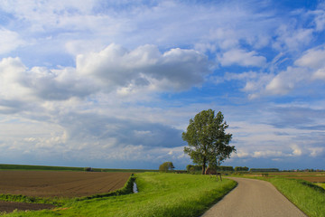 beautiful open rural dutch landscape with a blue sky with clouds in springtime