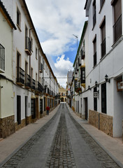 Fototapeta na wymiar Narrow street with white painted houses in the old town of Ronda, Andalusia, Spain