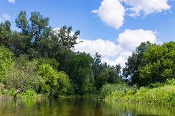 Fototapeta na wymiar Landscape of a quiet river in a summer forest