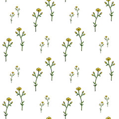 Seamless background of drawing yellow buttercup. Endless pattern with flowers for your design.
