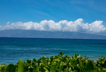 view of tropical island in sea