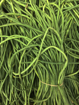 cowpea