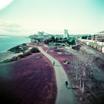 People walk on a path along the Seattle waterfront