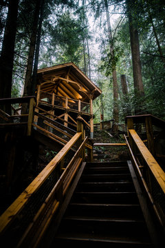 Cabin in the Woods