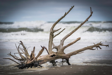 Outer Banks, North Carolina