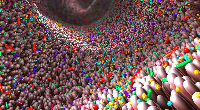 Different germs in the human intestines called microbiome - 3d illustration