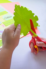 Science project on metamorphosis: first grade; cutting a leaf out of green paper