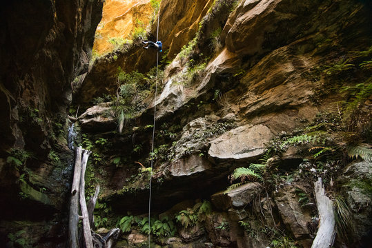 Abseiler in Juggler Canyon, Blue Mountains