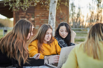 group of students studying in the park