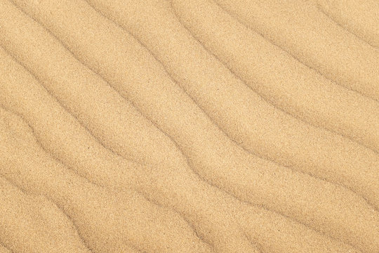 Ripples in sand