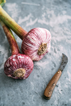 Food: French purple garlic bulbs