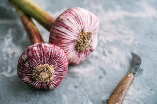 Food: French purple garlic bulbs