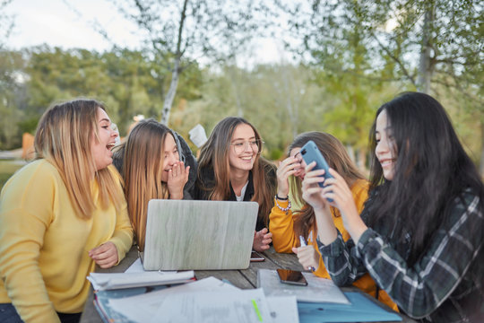 group of students studying in the park