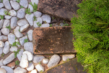 A garden decoration pattern. A pine tree surrounded by bricks with small white stones no the outside