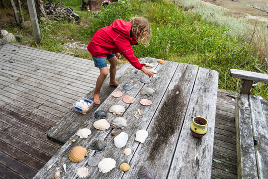 Girl in red jacket laying out her shell collection, New Zealand