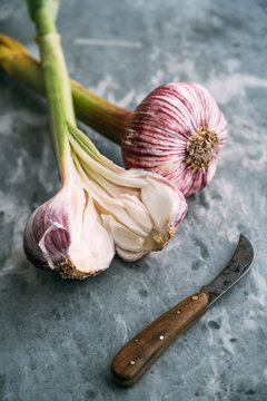 Food: French purple garlic bulbs