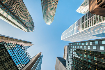 Modern skyscrapers in downtown Toronto 