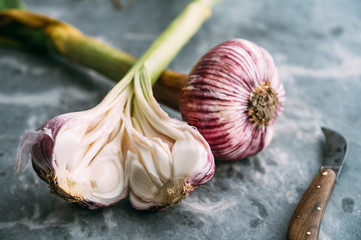Food: French purple garlic bulbs