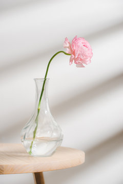 Beautiful pink eustoma flowers on table near the window.