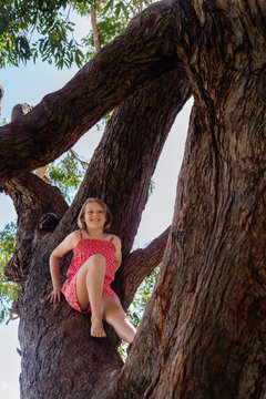 kid climbing a treet