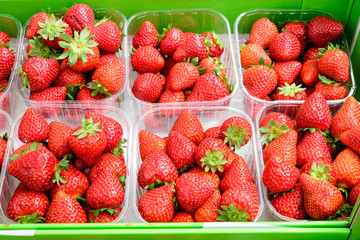 Large group fresh organic strawberries available for sale at a street food market, natural red  background with soft focus