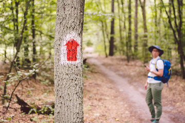 Hiking marked trail in the forest. Marking the tourist route painted on the tree. Touristic route sign. Travel route sign. Tourist hiker with backpack navigation uses smart phone