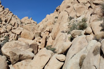 Fototapeta na wymiar Many rock arrangements around Indian Cove in Joshua Tree National Park were forged by ancient disastrous geological events, and have been part of the Southern Mojave Desert since time immemorial.