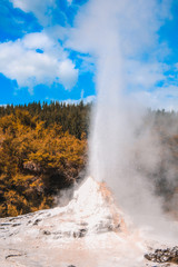 Lady Knox Geyser at Wai-O-Tapu Thermal Wonderland near Rotorua, North Island, New Zealand