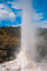 Lady Knox Geyser at Wai-O-Tapu Thermal Wonderland near Rotorua, North Island, New Zealand