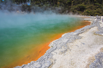 Colorful Champagne Pool at Wai-O-Tapu Thermal Wonderland near Rotorua, North Island, New Zealand
