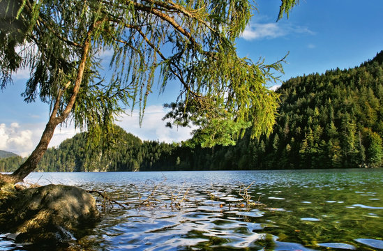 Panarama lake on sunny day. Hintersteiner See is a mountain lake in the Wilder Kaiser Austrian national park, Scheffau, Tirol