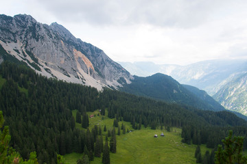 Alm in Österreich