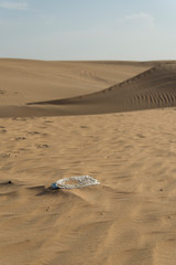 Plastik Müll in der Wüste