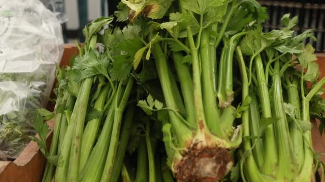 Close up footage of a trader unloading fresh bunches of celery, Apium graveolens, onto a stall during a farmers market, with French price tag
