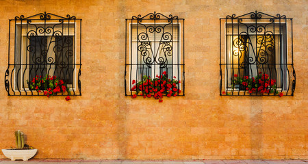 Three windows with security metal decorative winding bars and red flowers on brick yellow wall and...