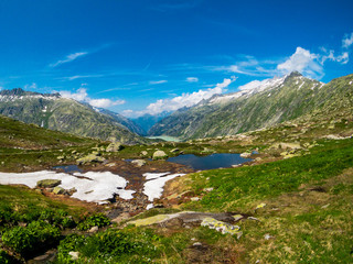 Fototapeta na wymiar Summer landscape of Switzerland nature near Grimsel pass