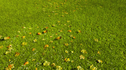 Autumn Leafs and Grass 3D Rendering