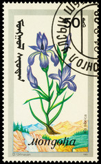 Siberian iris on postage stamp