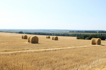 Harvesting, rural, farming concept. Shot of straw bales on a farm, no people.