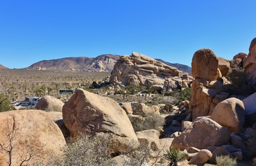 Road through Joshua Tree National Park