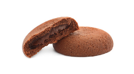 Tasty homemade chocolate cookies on white background