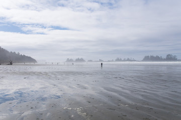 foggy sunny beach near tofino at vancouver island, canada
