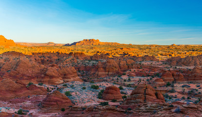 Amazing view of the coyote buttes, Utah