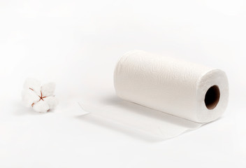 roll of toilet paper