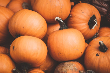 A pile of beautiful pumpkins 